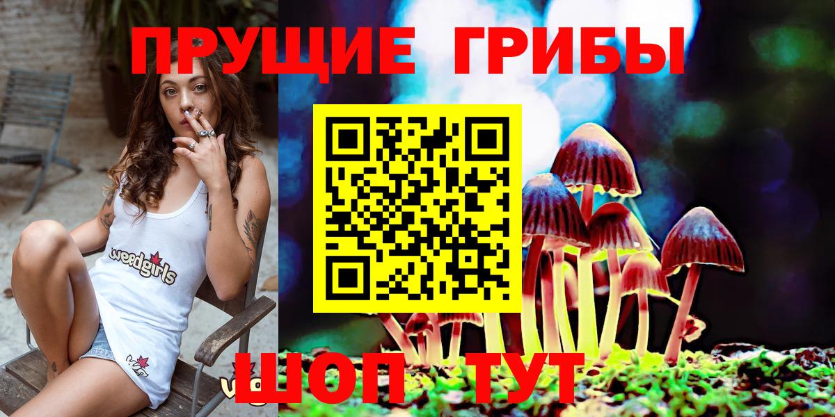 купить наркотик  Вход с VPN  Псилоцибиновые грибы Cubensis  Большой Камень  Псилоцибиновые грибы мицелий 