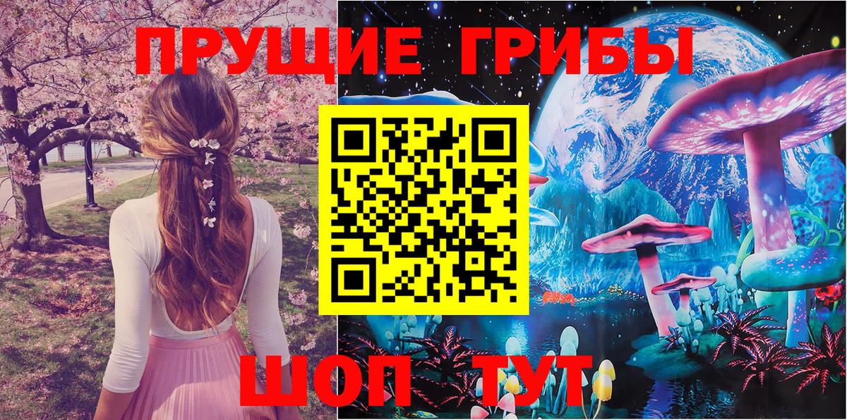 Псилоцибиновые грибы мицелий Большой Камень